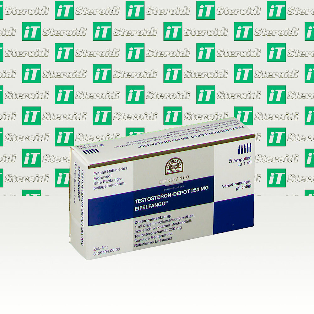 Testosteron Depot 250 mg Eifelfango